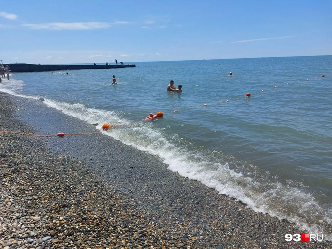 Медузы и водоросли — частая проблема для пляжей Адлера