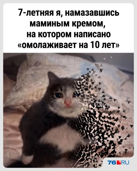 Слишком жизненно! В этих мемах со смешными котами вы узнаете себя